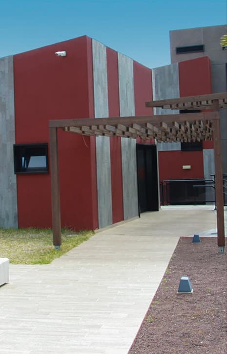 Imagen del centro de las palmas