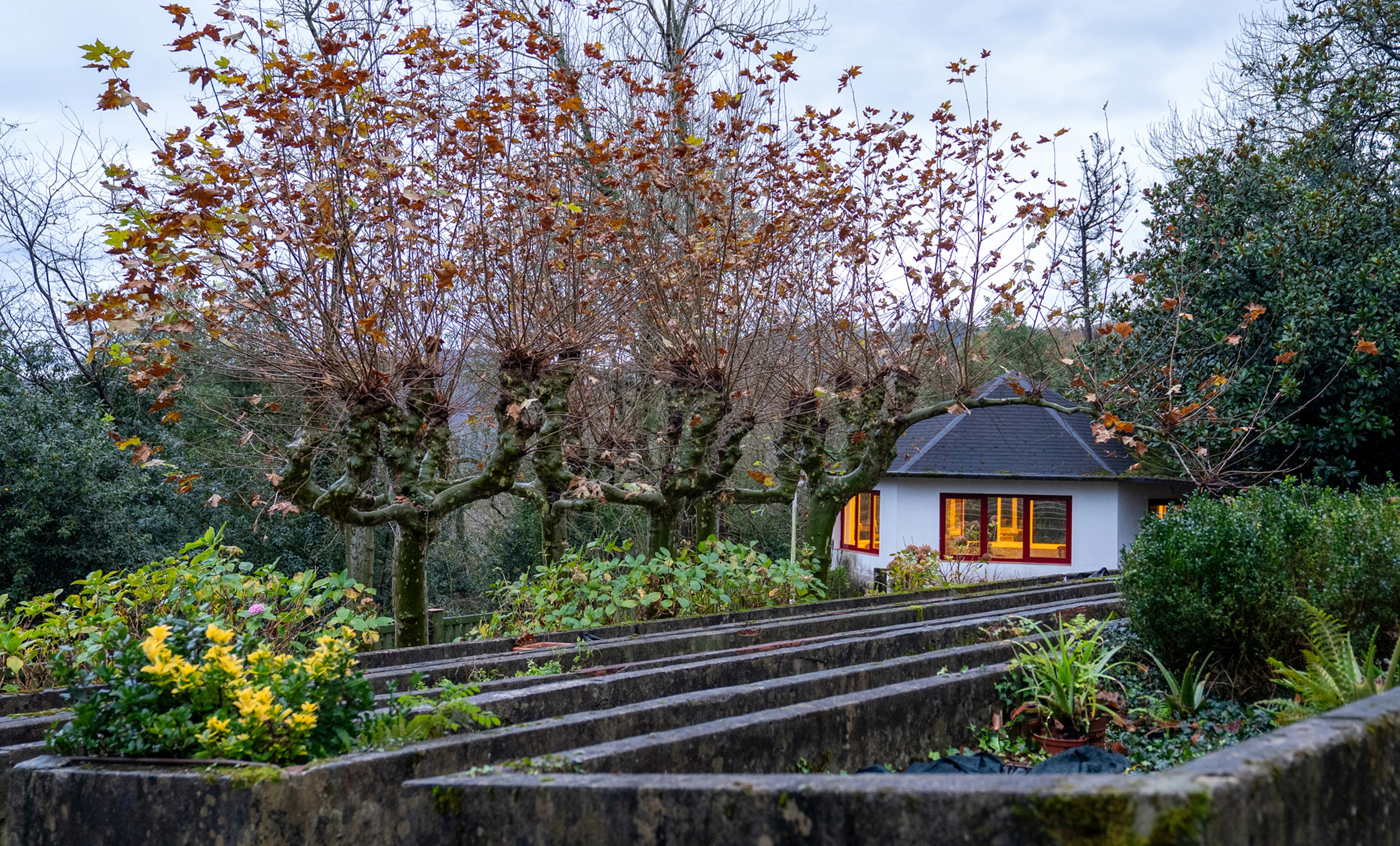 Imagen de un centro de mentalia.